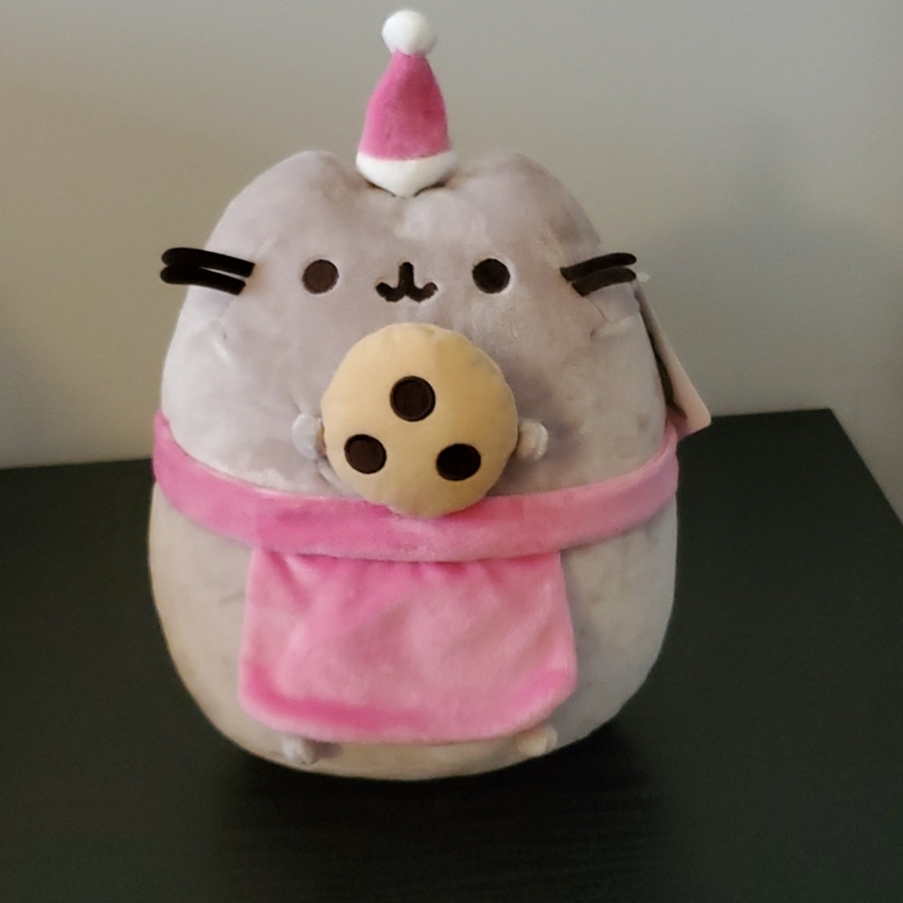 Pusheen holding a Cookie 🍪